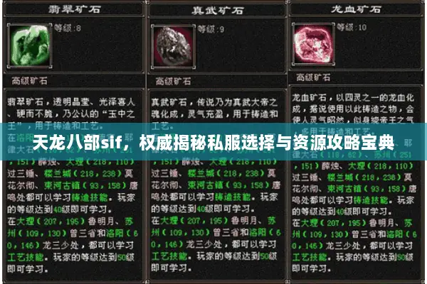 天龙八部sif,权威揭秘私服选择与资源攻略宝典 天龙八部sif,权威揭秘私服选择与资源攻略宝典