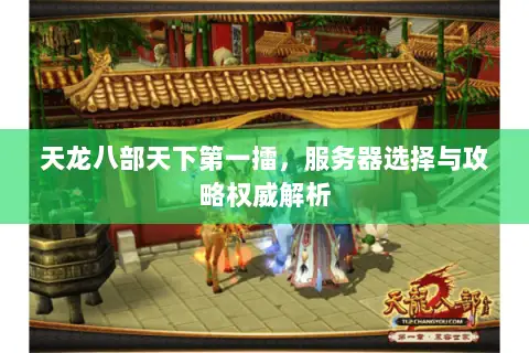 天龙八部天下第一擂，服务器选择与攻略权威解析