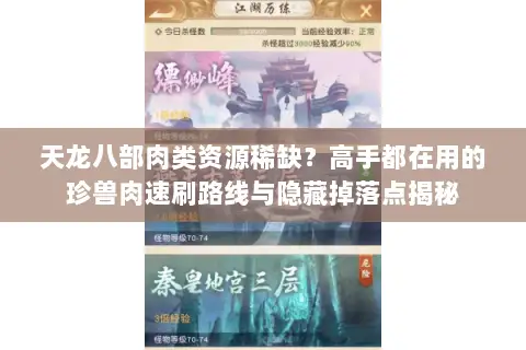 天龙八部肉类资源稀缺？高手都在用的珍兽肉速刷路线与隐藏掉落点揭秘