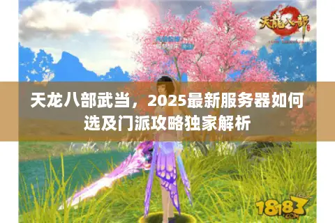天龙八部武当,2025最新服务器如何选及门派攻略独家解析 天龙八部武当,2025最新服务器如何选及门派攻略独家解析