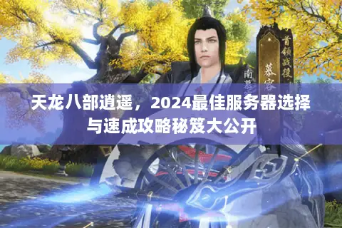 天龙八部逍遥,2024最佳服务器选择与速成攻略秘笈大公开 天龙八部逍遥,2024最佳服务器选择与速成攻略秘笈大公开