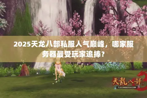 2025天龙八部私服人气巅峰，哪家服务器最受玩家追捧？