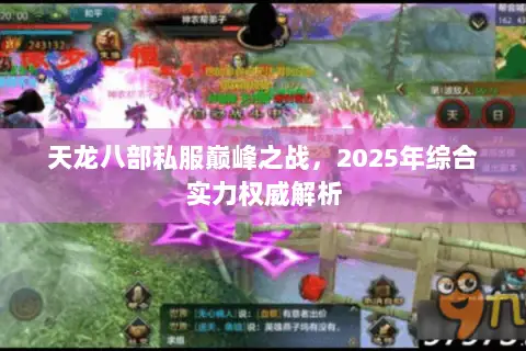 天龙八部私服巅峰之战，2025年综合实力权威解析