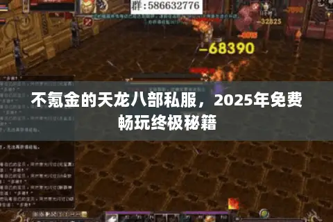 不氪金的天龙八部私服，2025年免费畅玩终极秘籍