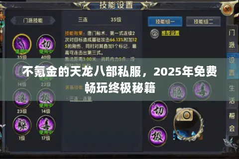 不氪金的天龙八部私服，2025年免费畅玩终极秘籍