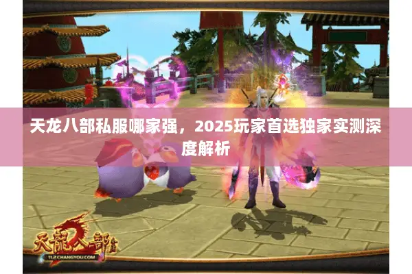 天龙八部私服哪家强，2025玩家首选独家实测深度解析