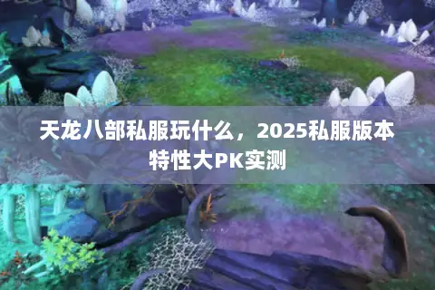 天龙八部私服玩什么,2025私服版本特性大PK实测 天龙八部私服玩什么,2025私服版本特性大PK实测