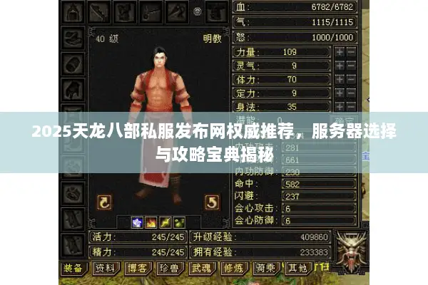 2025天龙八部私服发布网权威推荐,服务器选择与攻略宝典揭秘 2025天龙八部私服发布网权威推荐,服务器选择与攻略宝典揭秘
