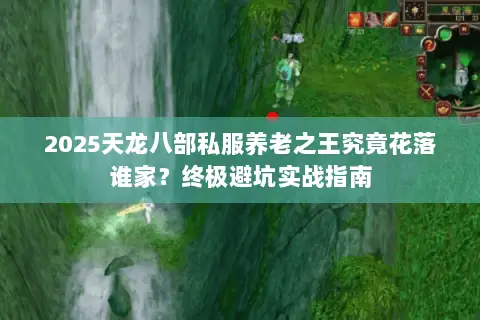 2025天龙八部私服养老之王究竟花落谁家？终极避坑实战指南