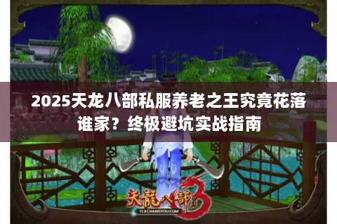 2025天龙八部私服养老之王究竟花落谁家？终极避坑实战指南
