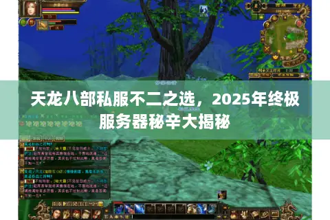 天龙八部私服不二之选,2025年终极服务器秘辛大揭秘 天龙八部私服不二之选,2025年终极服务器秘辛大揭秘