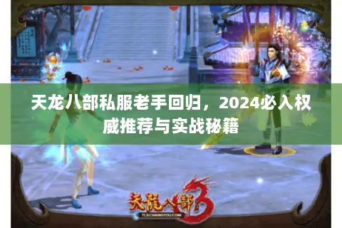 天龙八部私服老手回归,2024必入权威推荐与实战秘籍 天龙八部私服老手回归,2024必入权威推荐与实战秘籍