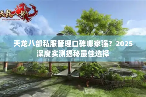 天龙八部私服管理口碑哪家强?2025深度实测揭秘最佳选择 天龙八部私服管理口碑哪家强?2025深度实测揭秘最佳选择