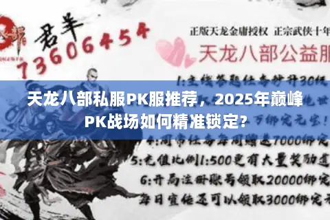天龙八部私服PK服推荐，2025年巅峰PK战场如何精准锁定？