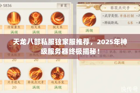天龙八部私服独家服推荐，2025年神级服务器终极揭秘！