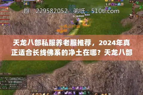 天龙八部私服养老服推荐，2024年真正适合长线佛系的净土在哪？天龙八部私服信息发布网独家实测