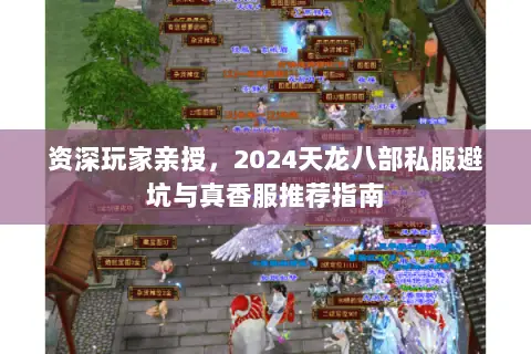 资深玩家亲授，2024天龙八部私服避坑与真香服推荐指南