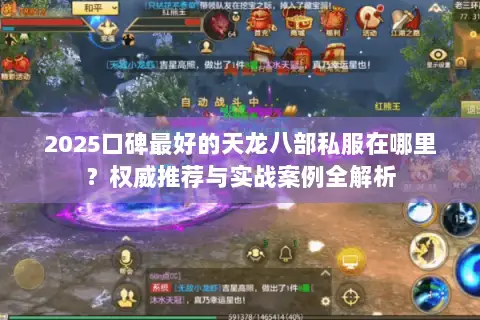 2025口碑最好的天龙八部私服在哪里？权威推荐与实战案例全解析