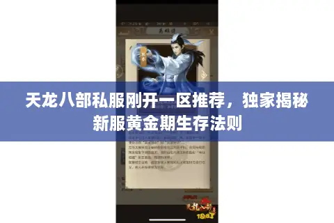 天龙八部私服刚开一区推荐，独家揭秘新服黄金期生存法则
