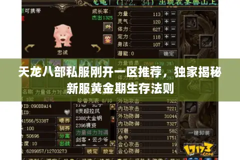 天龙八部私服刚开一区推荐，独家揭秘新服黄金期生存法则