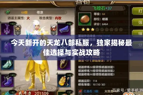 今天新开的天龙八部私服，独家揭秘最佳选择与实战攻略
