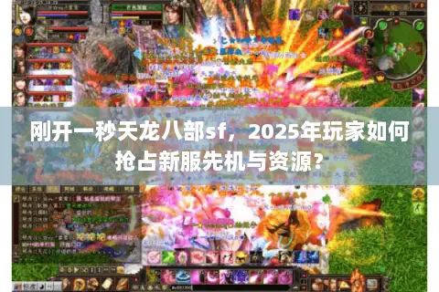 刚开一秒天龙八部sf，2025年玩家如何抢占新服先机与资源？