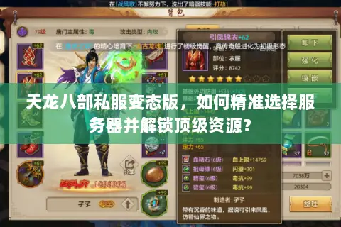 天龙八部私服变态版，如何精准选择服务器并解锁顶级资源？