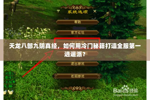 天龙八部九阴真经，如何用冷门秘籍打造全服第一逍遥派？