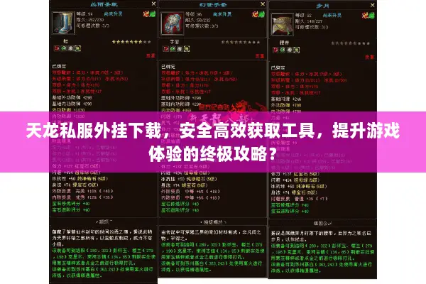 天龙私服外挂下载,安全高效获取工具,提升游戏体验的终极攻略? 天龙私服外挂下载,安全高效获取工具,提升游戏体验的终极攻略?