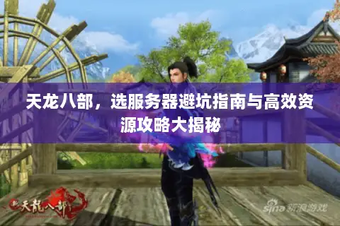 天龙八部,选服务器避坑指南与高效资源攻略大揭秘 天龙八部,选服务器避坑指南与高效资源攻略大揭秘