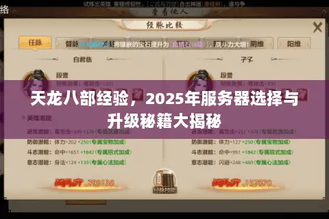 天龙八部经验,2025年服务器选择与升级秘籍大揭秘 天龙八部经验,2025年服务器选择与升级秘籍大揭秘