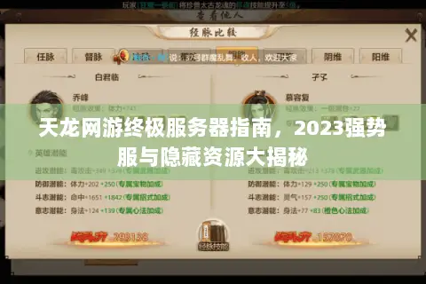 天龙网游终极服务器指南,2023强势服与隐藏资源大揭秘 天龙网游终极服务器指南,2023强势服与隐藏资源大揭秘