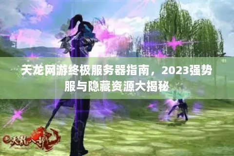 天龙网游终极服务器指南,2023强势服与隐藏资源大揭秘 天龙网游终极服务器指南,2023强势服与隐藏资源大揭秘