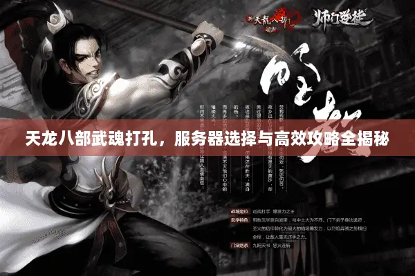 天龙八部武魂打孔，服务器选择与高效攻略全揭秘