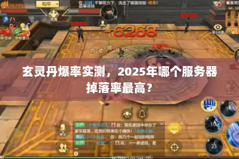 玄灵丹爆率实测,2025年哪个服务器掉落率最高? 玄灵丹爆率实测,2025年哪个服务器掉落率最高?