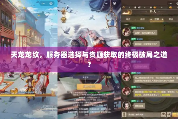 天龙龙纹，服务器选择与资源获取的终极破局之道？