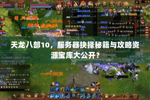 天龙八部10，服务器抉择秘籍与攻略资源宝库大公开？