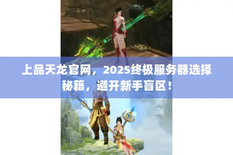 上品天龙官网,2025终极服务器选择秘籍,避开新手盲区! 上品天龙官网,2025终极服务器选择秘籍,避开新手盲区!