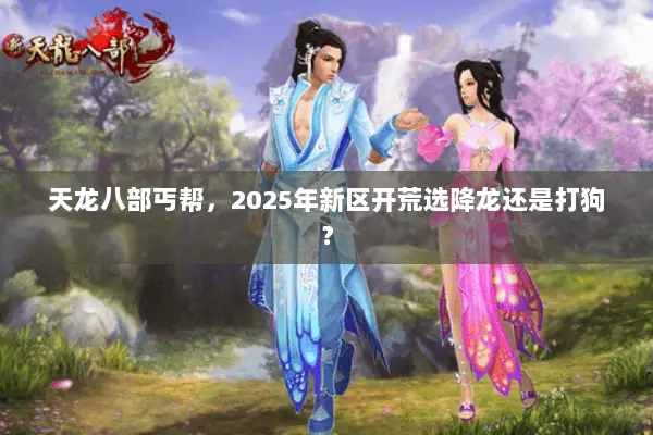 天龙八部丐帮,2025年新区开荒选降龙还是打狗? 天龙八部丐帮,2025年新区开荒选降龙还是打狗?