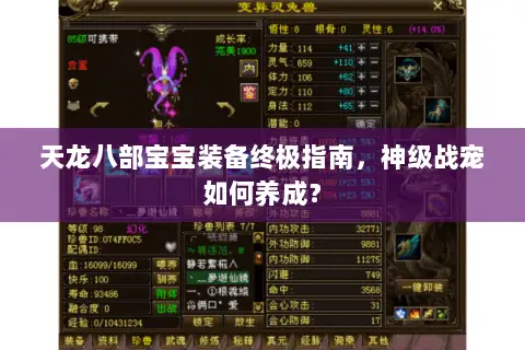 天龙八部宝宝装备终极指南，神级战宠如何养成？