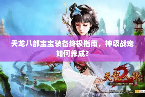 天龙八部宝宝装备终极指南，神级战宠如何养成？