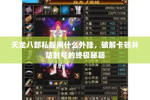 天龙八部私服用什么外挂,破解卡顿并防封号的终极秘籍 天龙八部私服用什么外挂,破解卡顿并防封号的终极秘籍