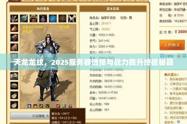 天龙龙纹，2025服务器选择与战力提升终极秘籍