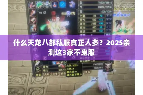 什么天龙八部私服真正人多?2025亲测这3家不鬼服 什么天龙八部私服真正人多?2025亲测这3家不鬼服