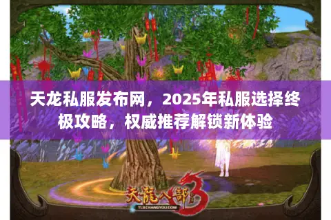 天龙私服发布网,2025年私服选择终极攻略,权威推荐解锁新体验 天龙私服发布网,2025年私服选择终极攻略,权威推荐解锁新体验