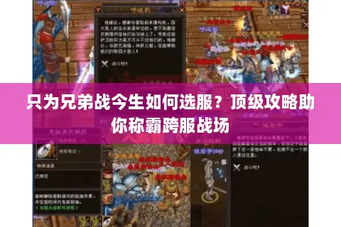 只为兄弟战今生如何选服?顶级攻略助你称霸跨服战场 只为兄弟战今生如何选服?顶级攻略助你称霸跨服战场