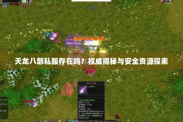天龙八部私服存在吗?权威揭秘与安全资源探索 天龙八部私服存在吗?权威揭秘与安全资源探索