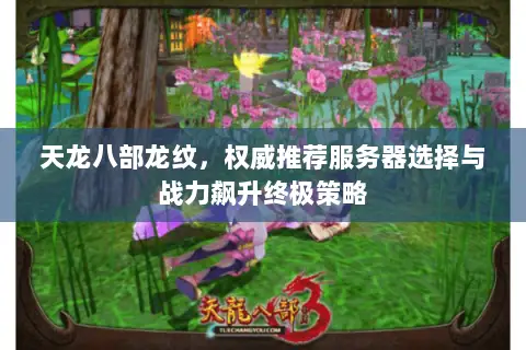 天龙八部龙纹,权威推荐服务器选择与战力飙升终极策略 天龙八部龙纹,权威推荐服务器选择与战力飙升终极策略