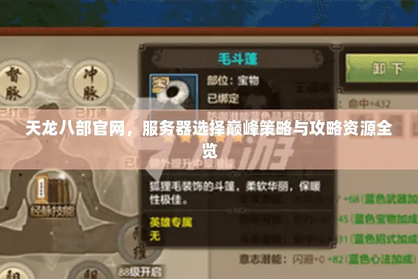 天龙八部官网,服务器选择巅峰策略与攻略资源全览 天龙八部官网,服务器选择巅峰策略与攻略资源全览