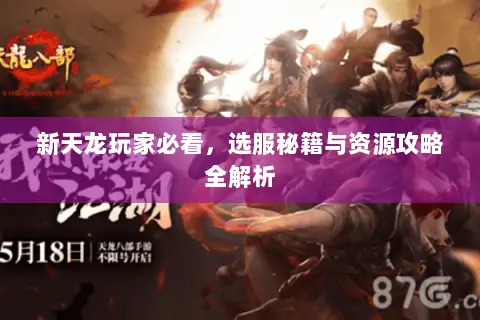 新天龙玩家必看,选服秘籍与资源攻略全解析 新天龙玩家必看,选服秘籍与资源攻略全解析